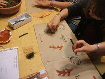 Atelier Maison du Piage