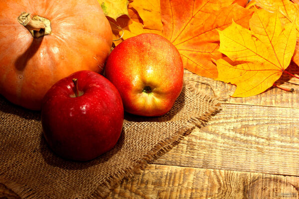 Automne