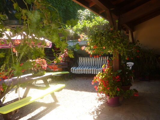 B&B Château Vieux - Terrasse