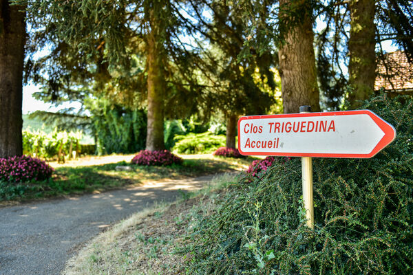 Bienvenue au Clos Triguedina_10 © Lot Tourisme - C. ORY