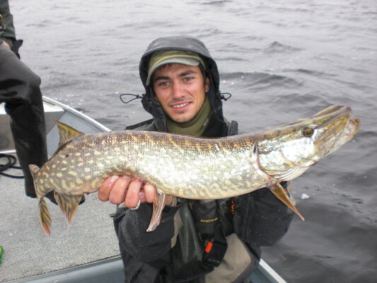 Bruno Mercier, guide pêche