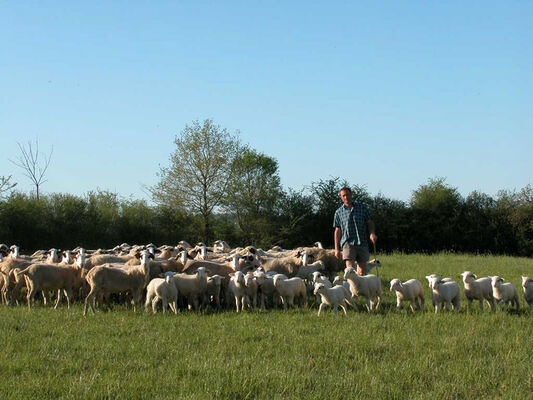 Camping - La Ferme en Paille