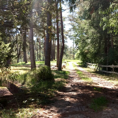 Camping Moulin de lacombe - Saint Geniez (6)