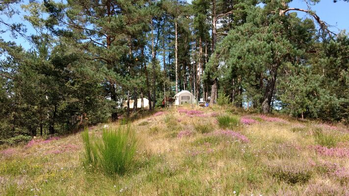 Camping Moulin de lacombe - Saint Geniez (2)