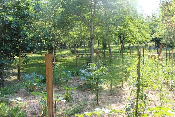 Camping Le Terriol Cajarc9