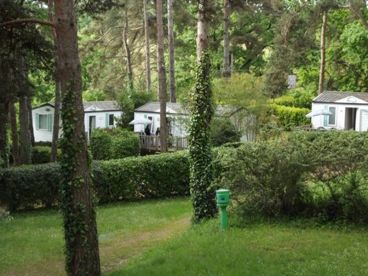 Camping 46 Rainettes Goujounac