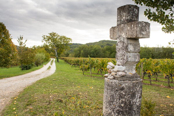Caillac - Calvaire et Vignes à Caillac