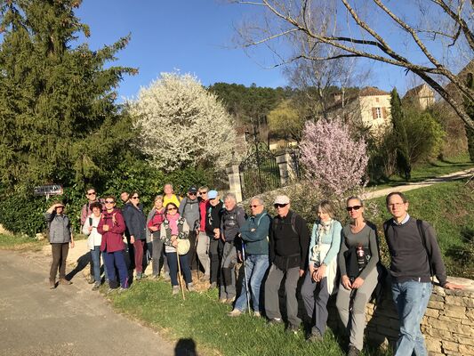 Cazalrando2019
