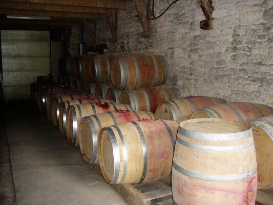 Château de Bellecoste