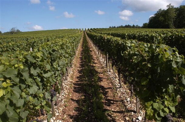 Château les Hauts d'Aglan