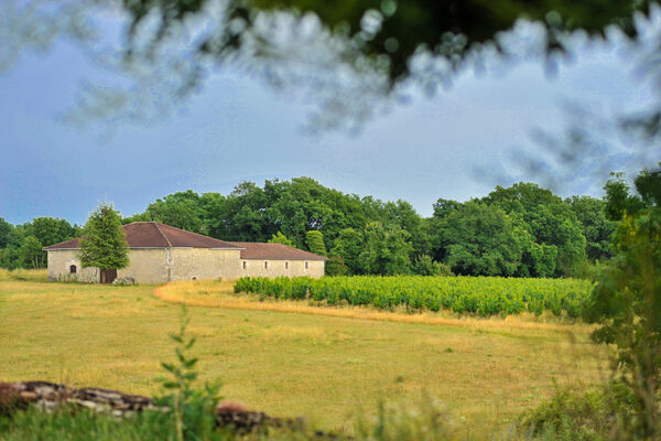 Château Lacapelle-Cabanac - Chai_09 © Lot Tourisme - C. ORY