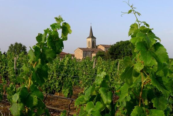 Vignoble de Cénac