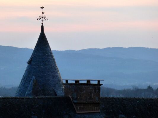 ChateauDeMarsac-Meyssac_vueToits