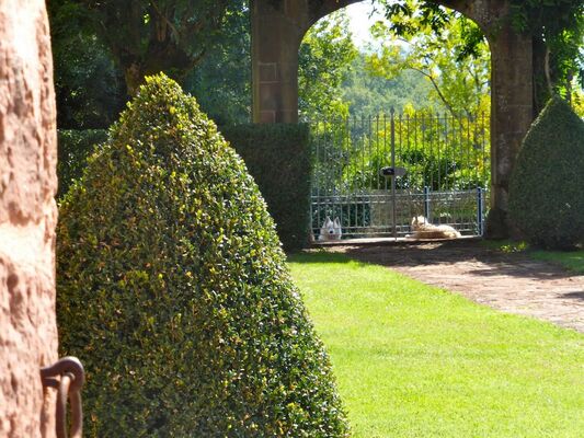 ChateauDeMarsac-Meyssac_detailJardin