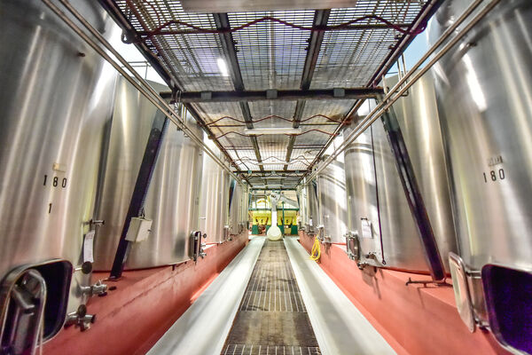 Chai de vinification du Clos Triguedina_04 © Lot Tourisme - C. ORY