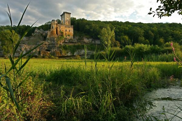 Commarque 3