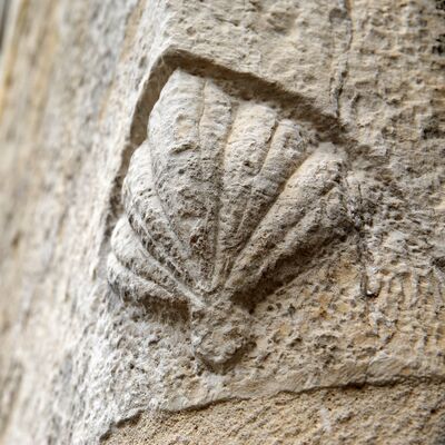 Coquille St Jacques ©Jerome Morel