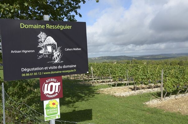Domaine Rességuier