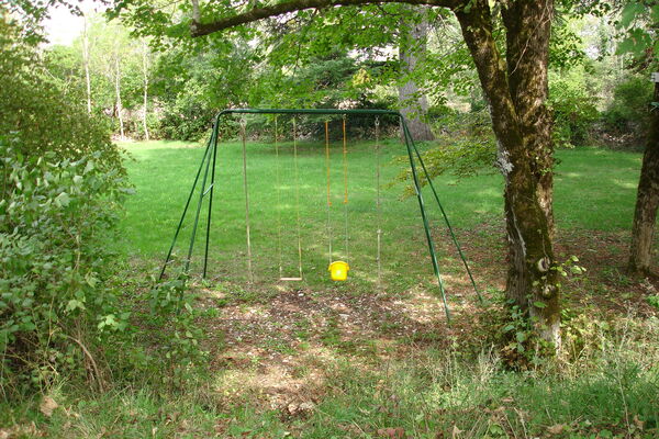 DSC02550