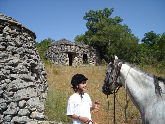 Ferme équestre du Pech Merle - Cabrerets