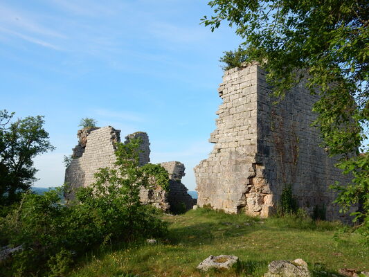 DSCN0877