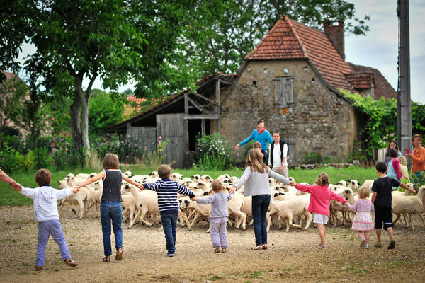 Découverte des moutons à lunettes du Quercy_03 © Lot Tourisme - C. ORY