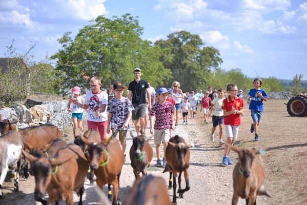 Descente des chèvres à la pâture -Ferme Borei d'Imbert -Roca web