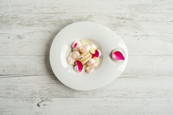 Dessert_rose_©Les Jardins