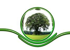Développement Durable
