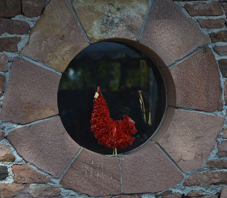 Domaine-coq-rouge-Colonges -coq
