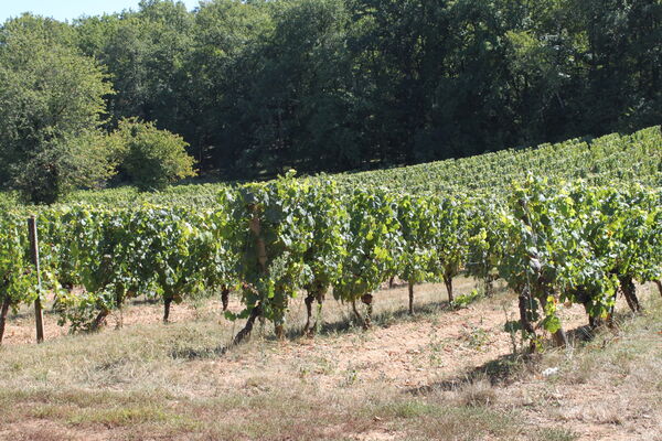 Domaine du Peyret extérieur