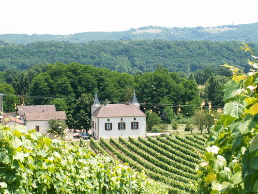 Domaine de Lavaur