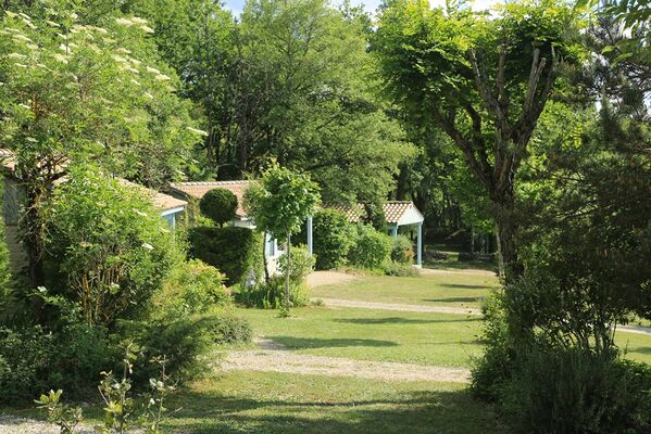 Domaine la Faurie 17