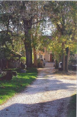 Domaine Dols