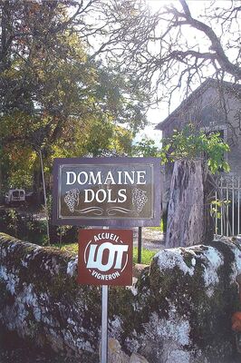 Domaine Dols 2