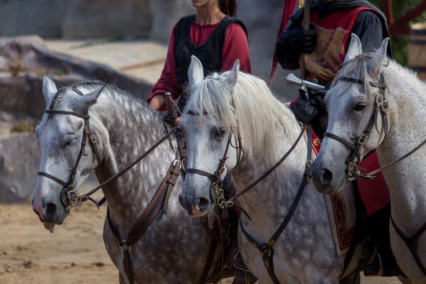 Durandal Rocamadour1