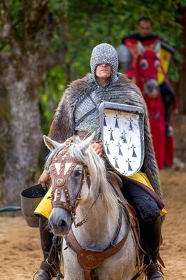 Durandal Rocamadour110