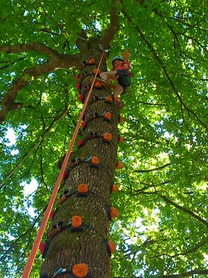 CAPNATURE Escalade sur Arbres