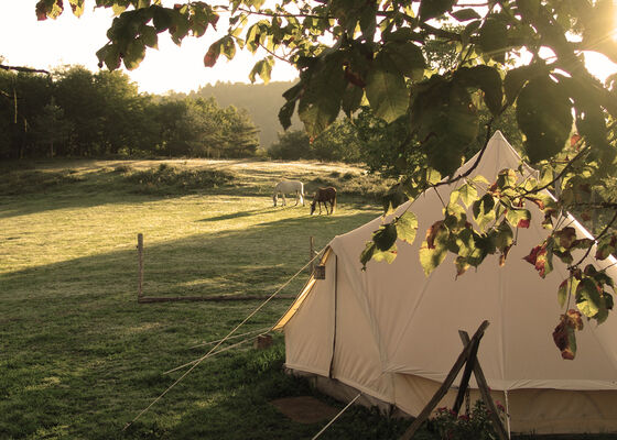 Espace Champetre - St Sylvain-le camps