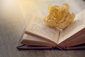 livre