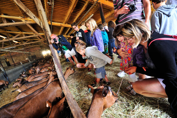 Ferme-Auberge du Mas de Thomas à St-Sulpice_06 © Lot Tourisme - C. ORY