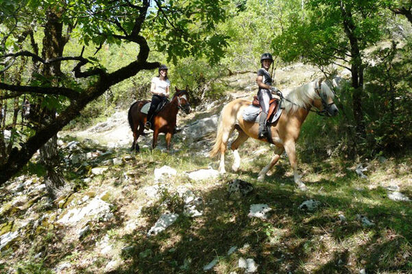Ferme équestre Cheval Rando - Creysse