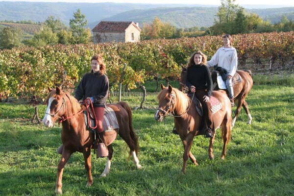 Ferme équestre Lafontaine - Montcléra