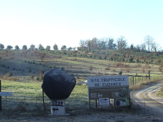 FermeTruffe_Site