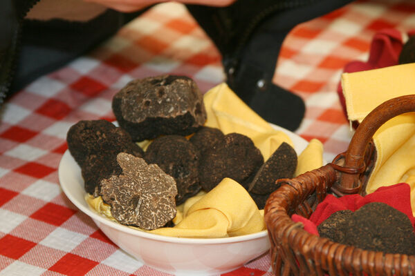 FermeTruffe_Truffe