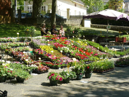 Foire aux fleurs3