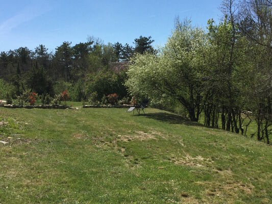 ForrestierSouciracparc