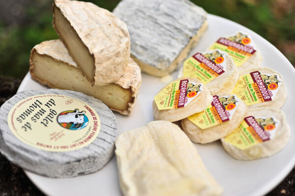 Fromage du Mas de Thomas à St-Sulpice_15 © Lot Tourisme - C. ORY