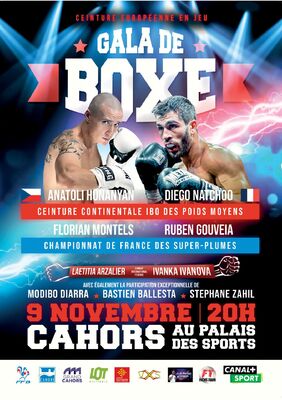 Gala boxe 9 nov