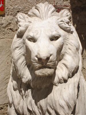 HOT1126CDT460001_lion